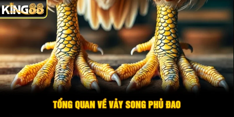 Tổng quan về vảy song phủ đao